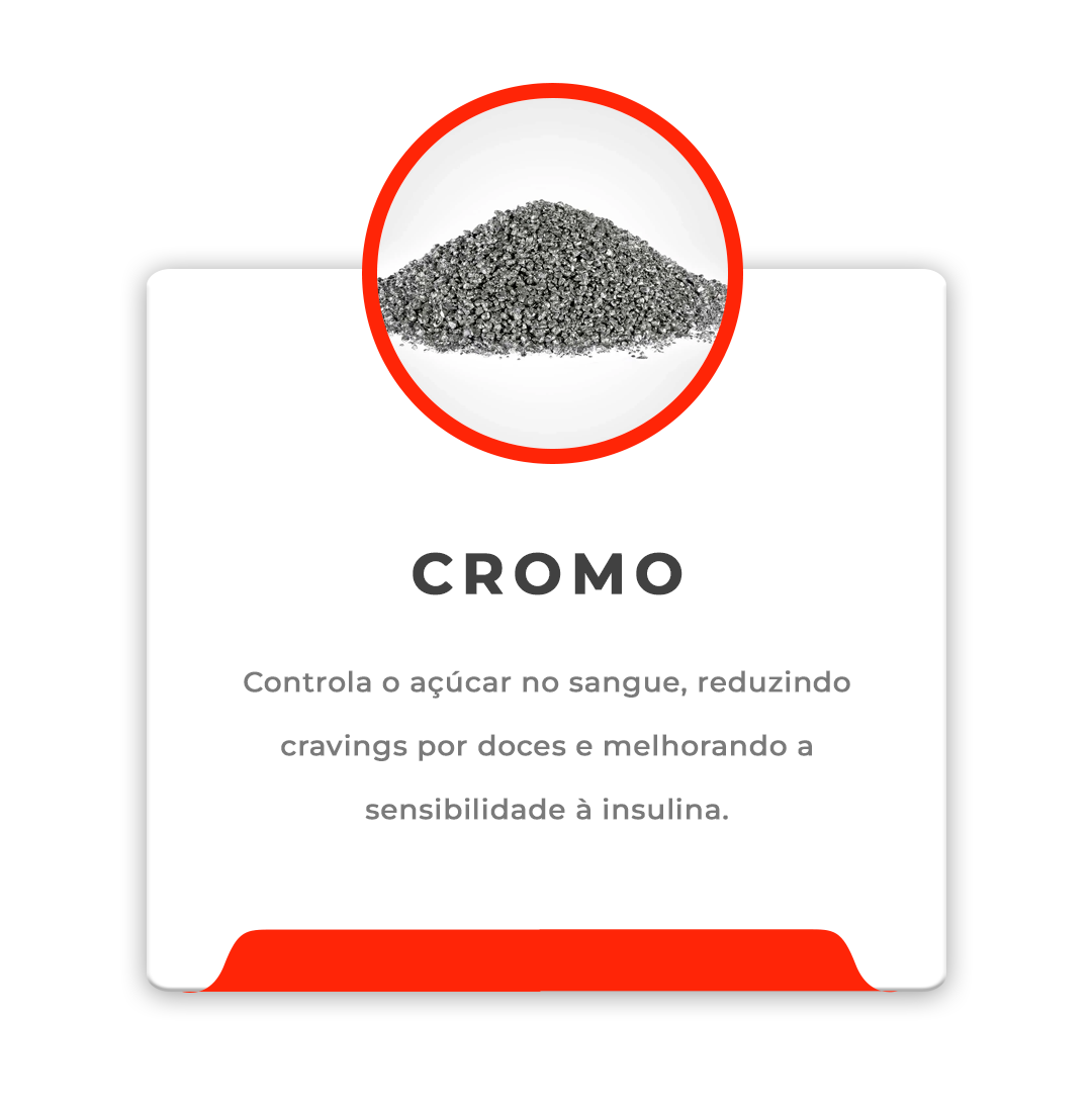 IGREDIENTES-LEVENTIMEPrancheta-1-copiar-2_1