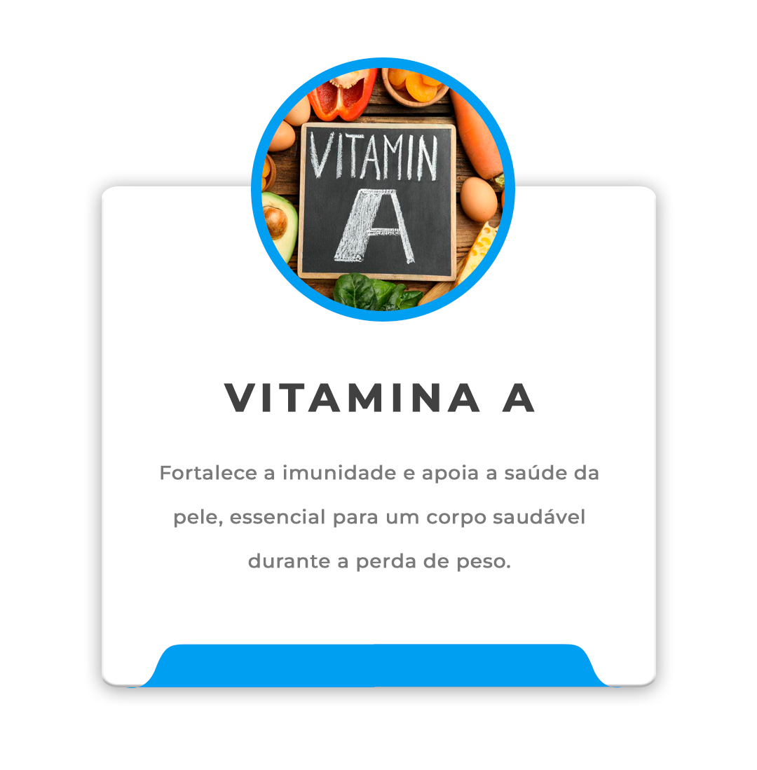 IGREDIENTES-LEVENTIMEPrancheta-1-copiar-2_2