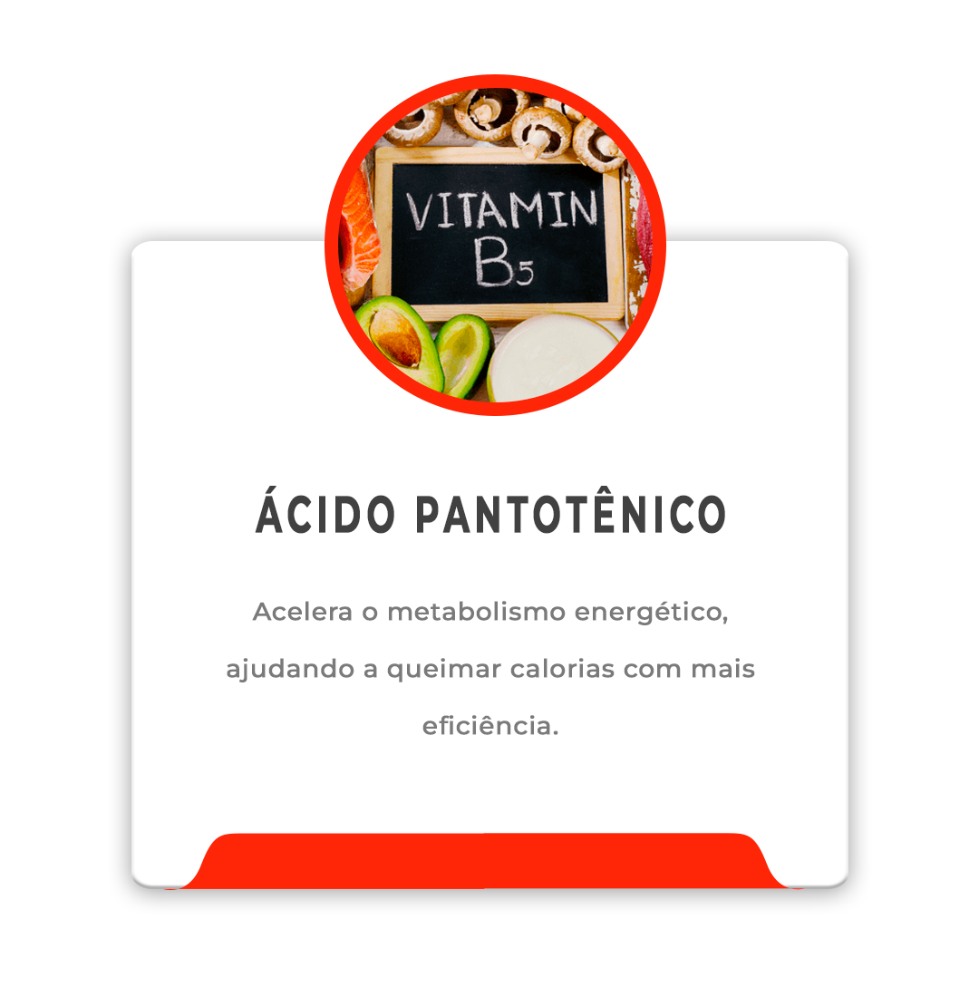 IGREDIENTES-LEVENTIMEPrancheta-1-copiar-3_1