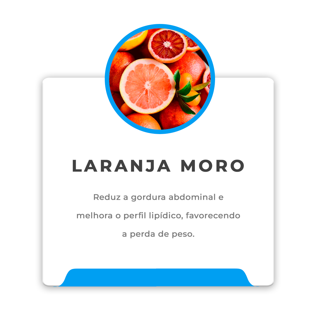 IGREDIENTES-LEVENTIMEPrancheta-1-copiar-4_1