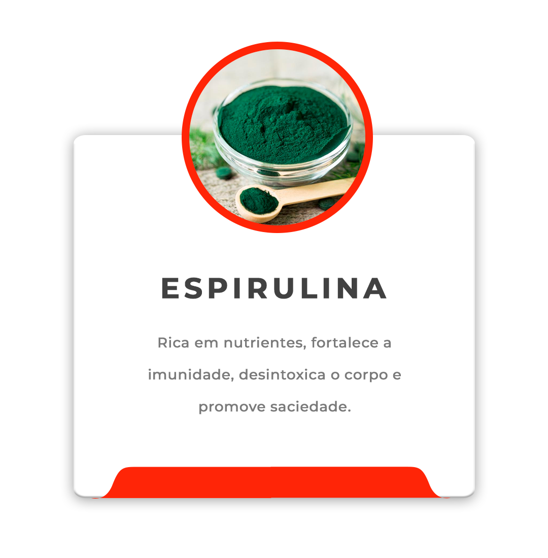 IGREDIENTES-LEVENTIMEPrancheta-1-copiar-4_2