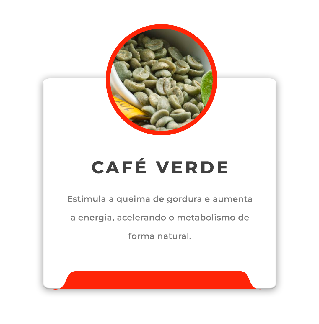 IGREDIENTES-LEVENTIMEPrancheta-1-copiar-5